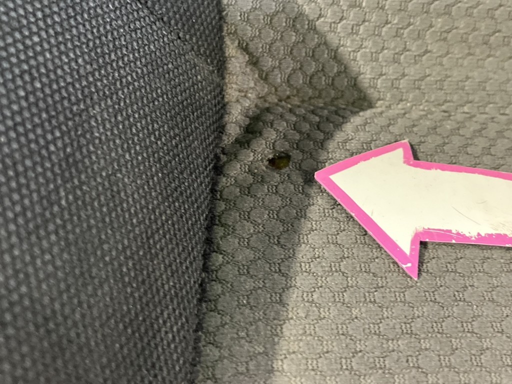 画像大 6枚目